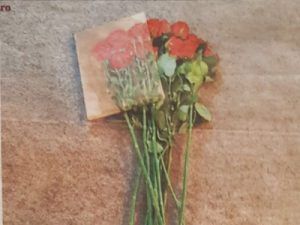 las-flores-de-pessoa